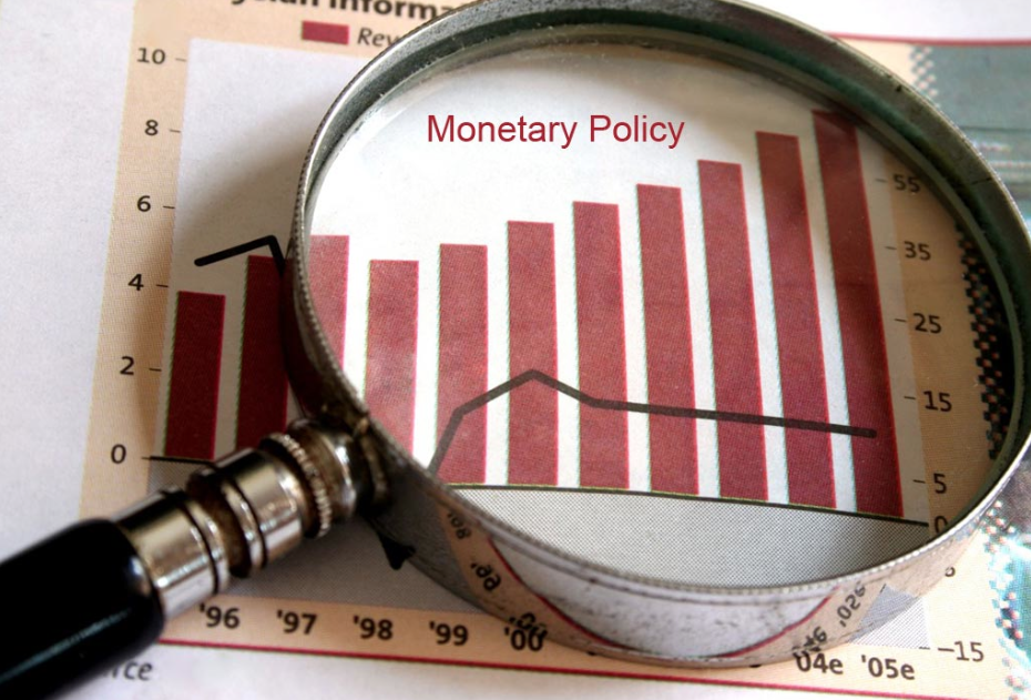 Monetary Policy under Magnifying Glass